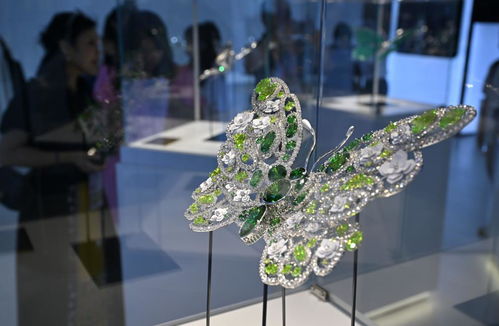 新理念引領新設計，第四屆消博會展現綠色低碳消費新風尚